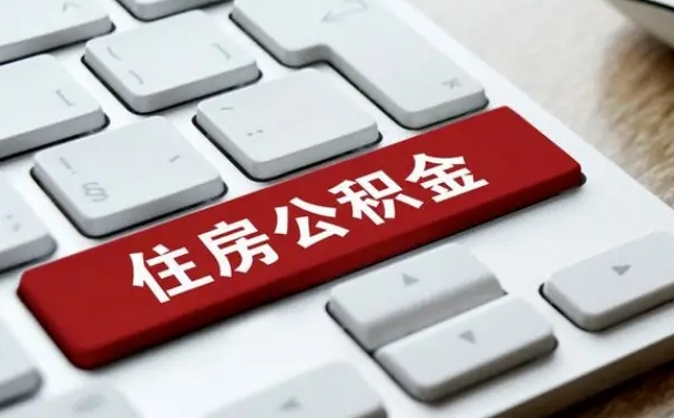 丽水公积金公司交的部分怎么提取（公积金提取公司缴纳部分）